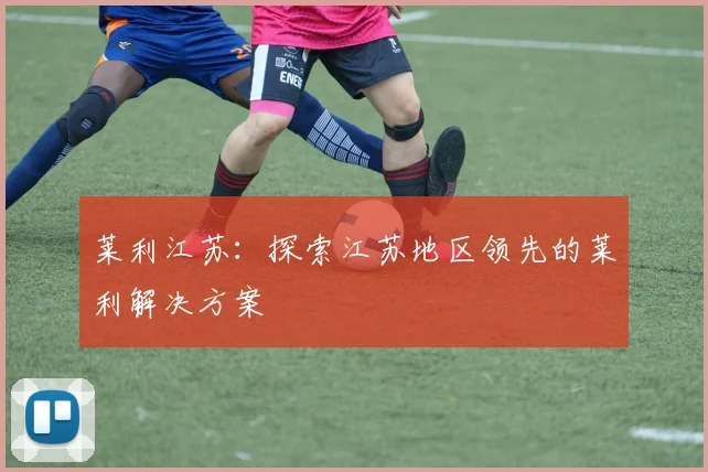 莱利江苏:探索江苏地区领先的莱利解决方案